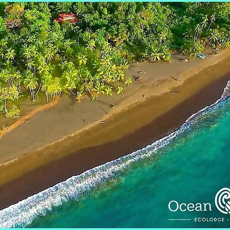 Ocean Forest Ecolodge San Pedrillo Esterno foto