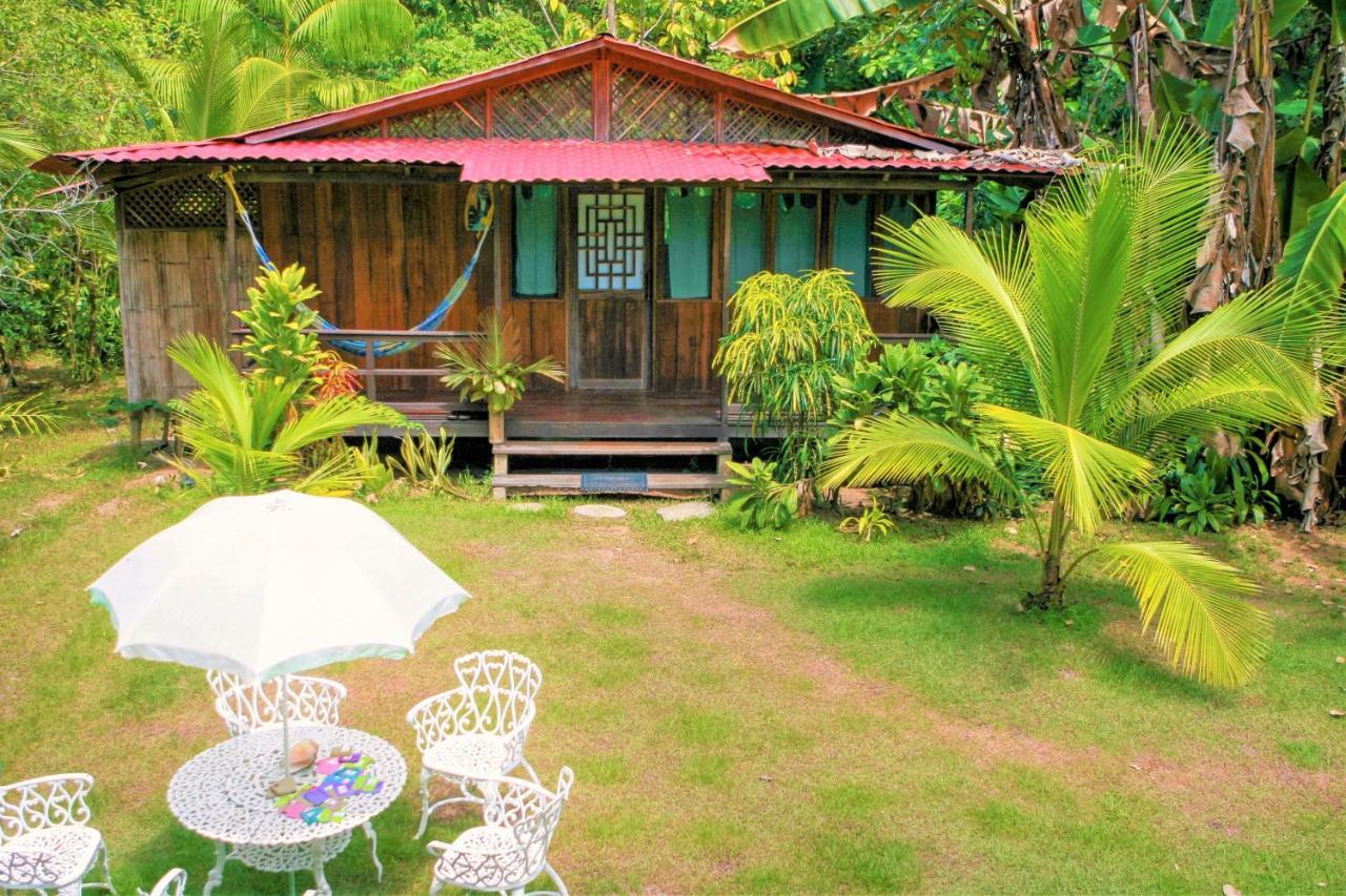 Ocean Forest Ecolodge San Pedrillo Esterno foto