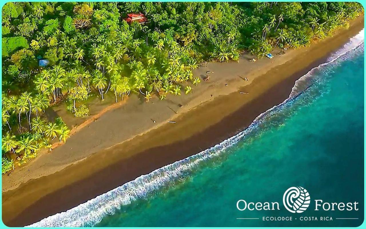 Ocean Forest Ecolodge San Pedrillo Esterno foto