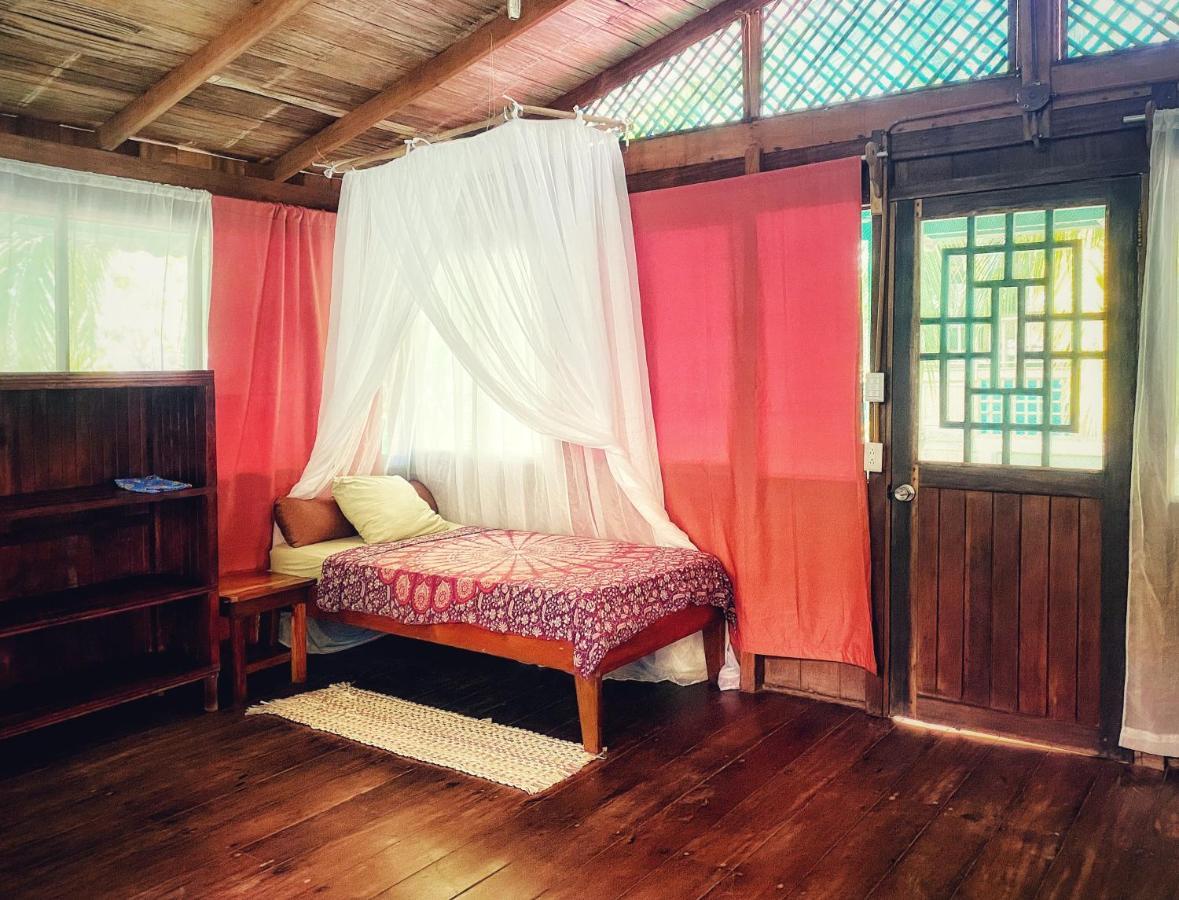 Ocean Forest Ecolodge San Pedrillo Esterno foto