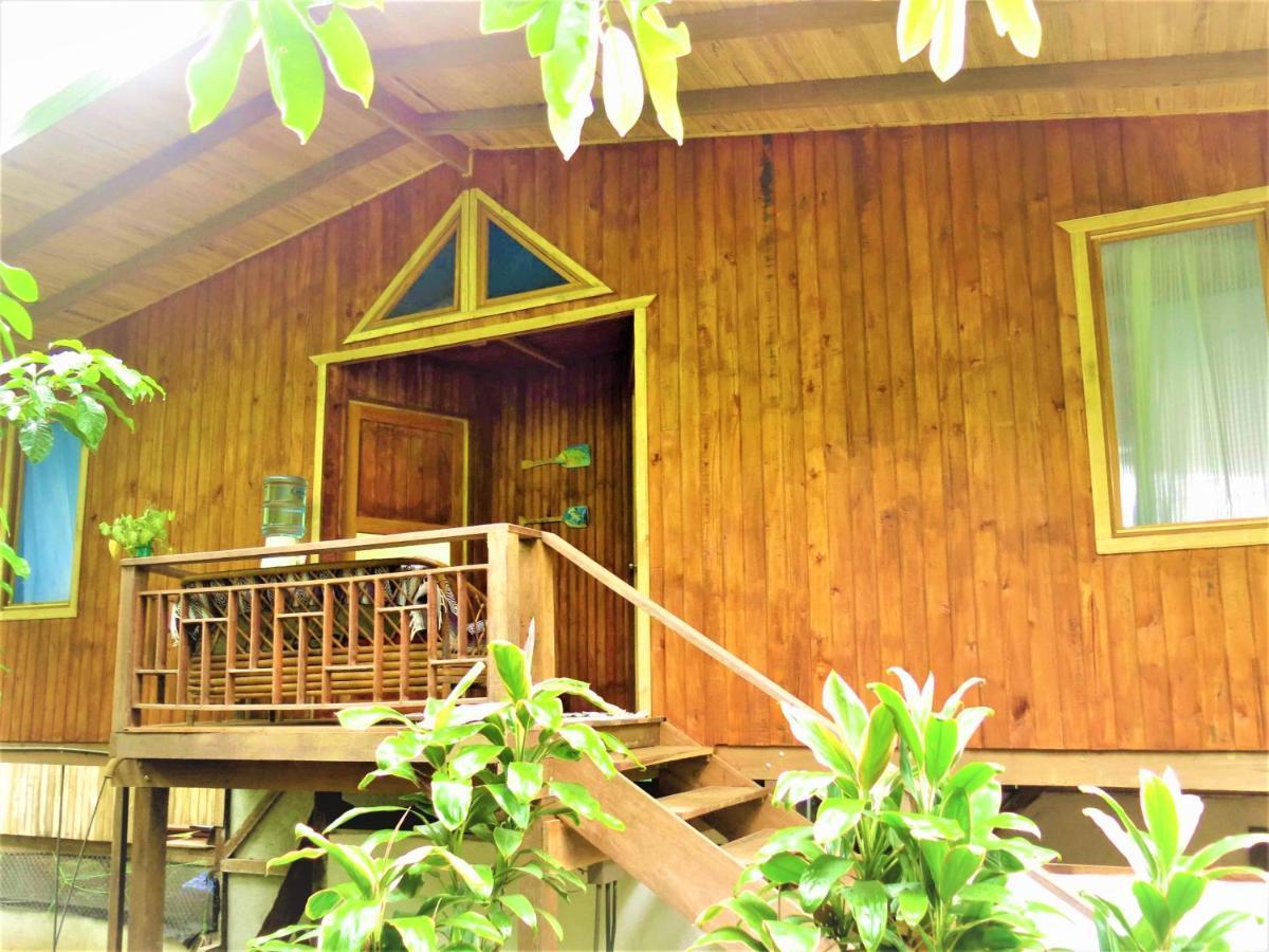 Ocean Forest Ecolodge San Pedrillo Esterno foto