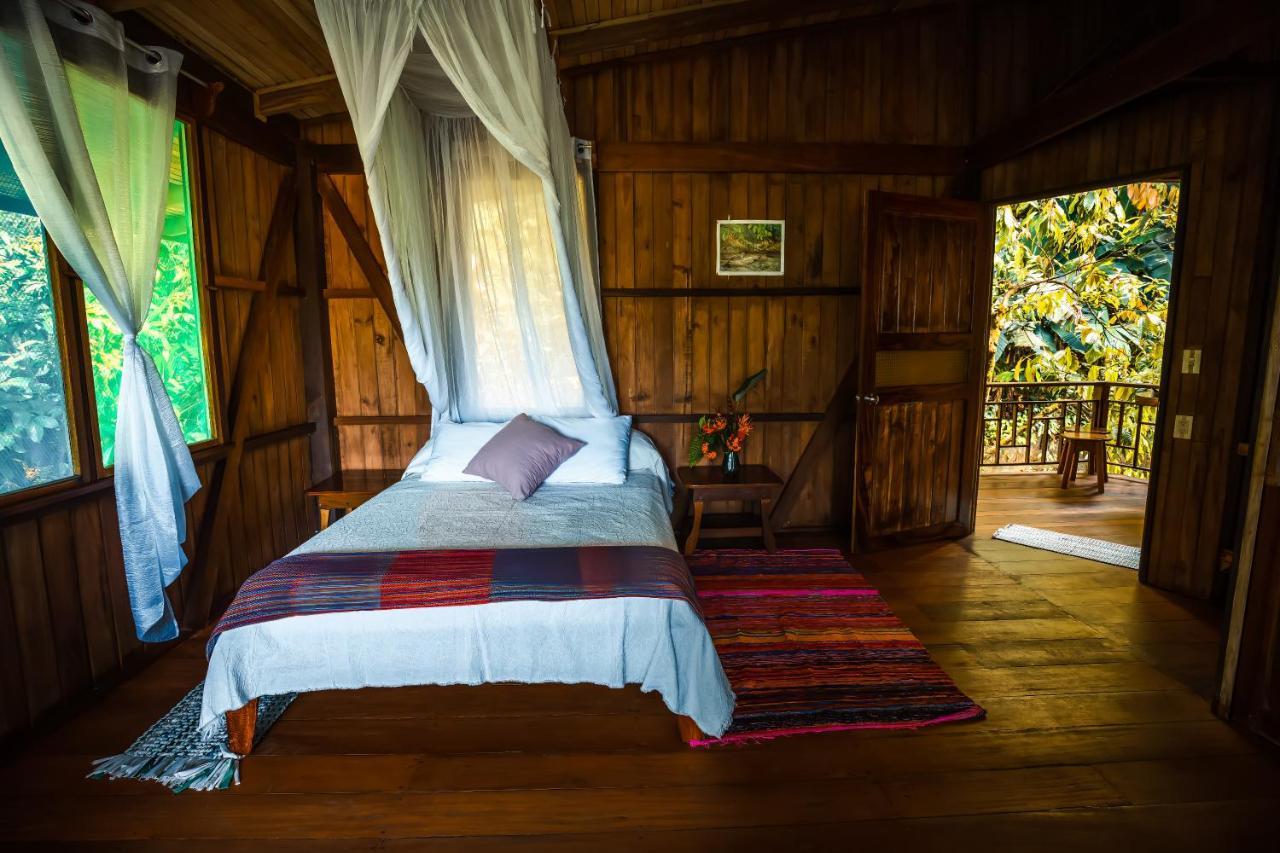 Ocean Forest Ecolodge San Pedrillo Esterno foto