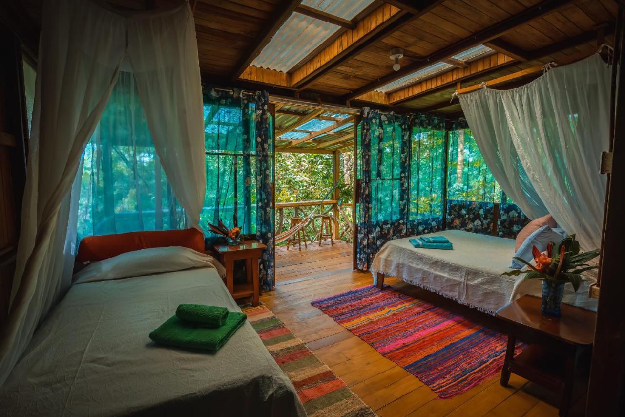 Ocean Forest Ecolodge San Pedrillo Esterno foto