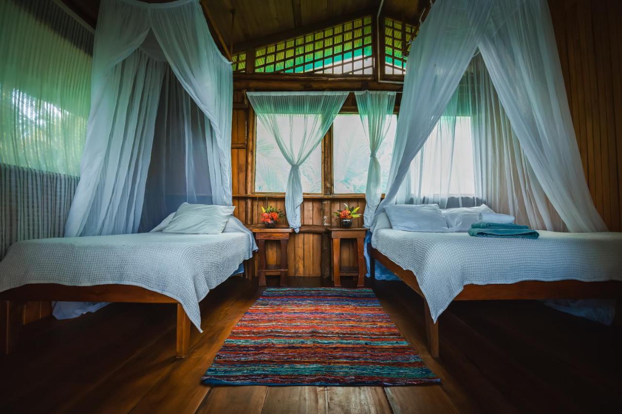 Ocean Forest Ecolodge San Pedrillo Esterno foto