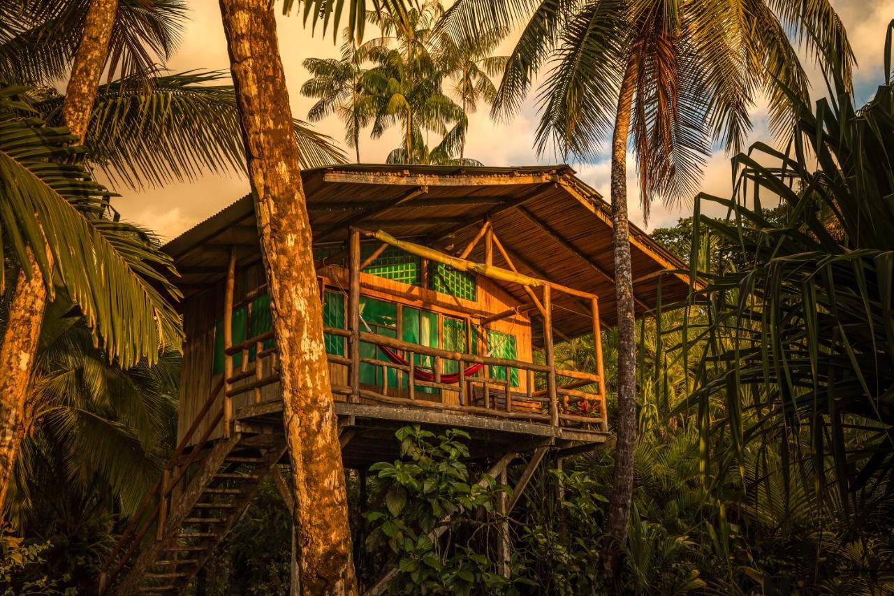 Ocean Forest Ecolodge San Pedrillo Esterno foto