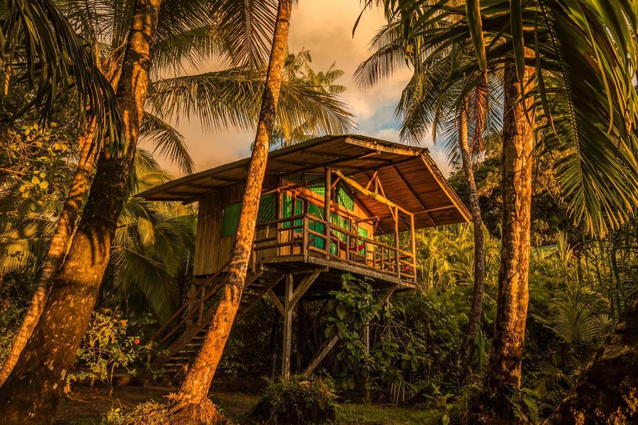 Ocean Forest Ecolodge San Pedrillo Esterno foto