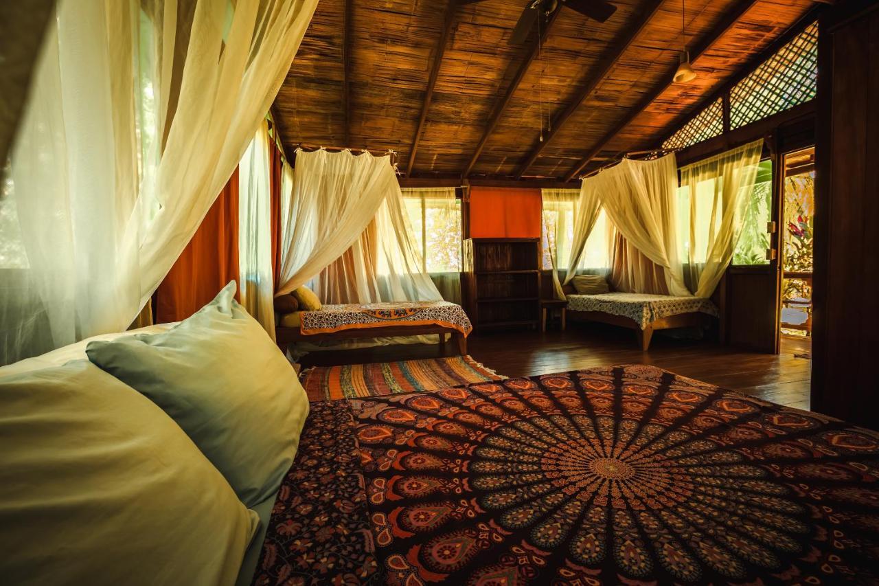 Ocean Forest Ecolodge San Pedrillo Esterno foto