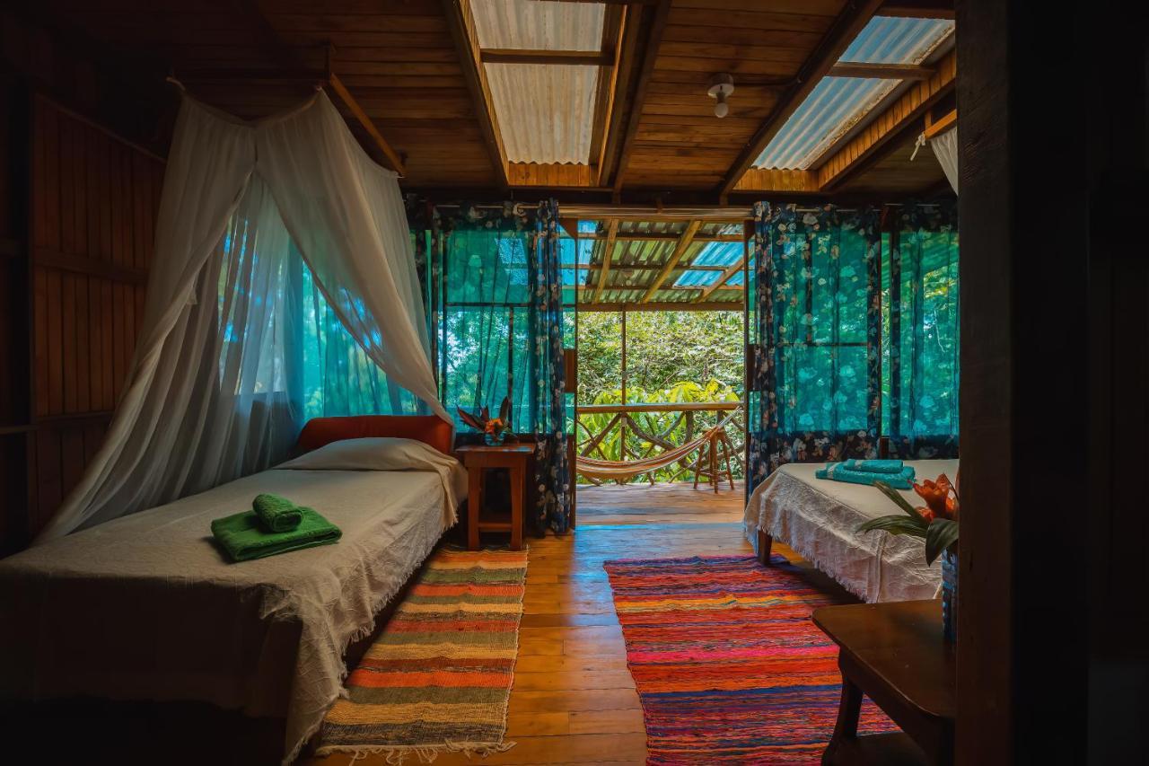 Ocean Forest Ecolodge San Pedrillo Esterno foto