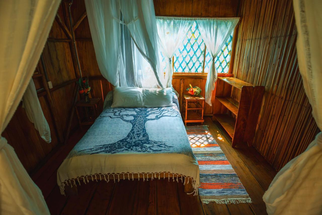 Ocean Forest Ecolodge San Pedrillo Esterno foto