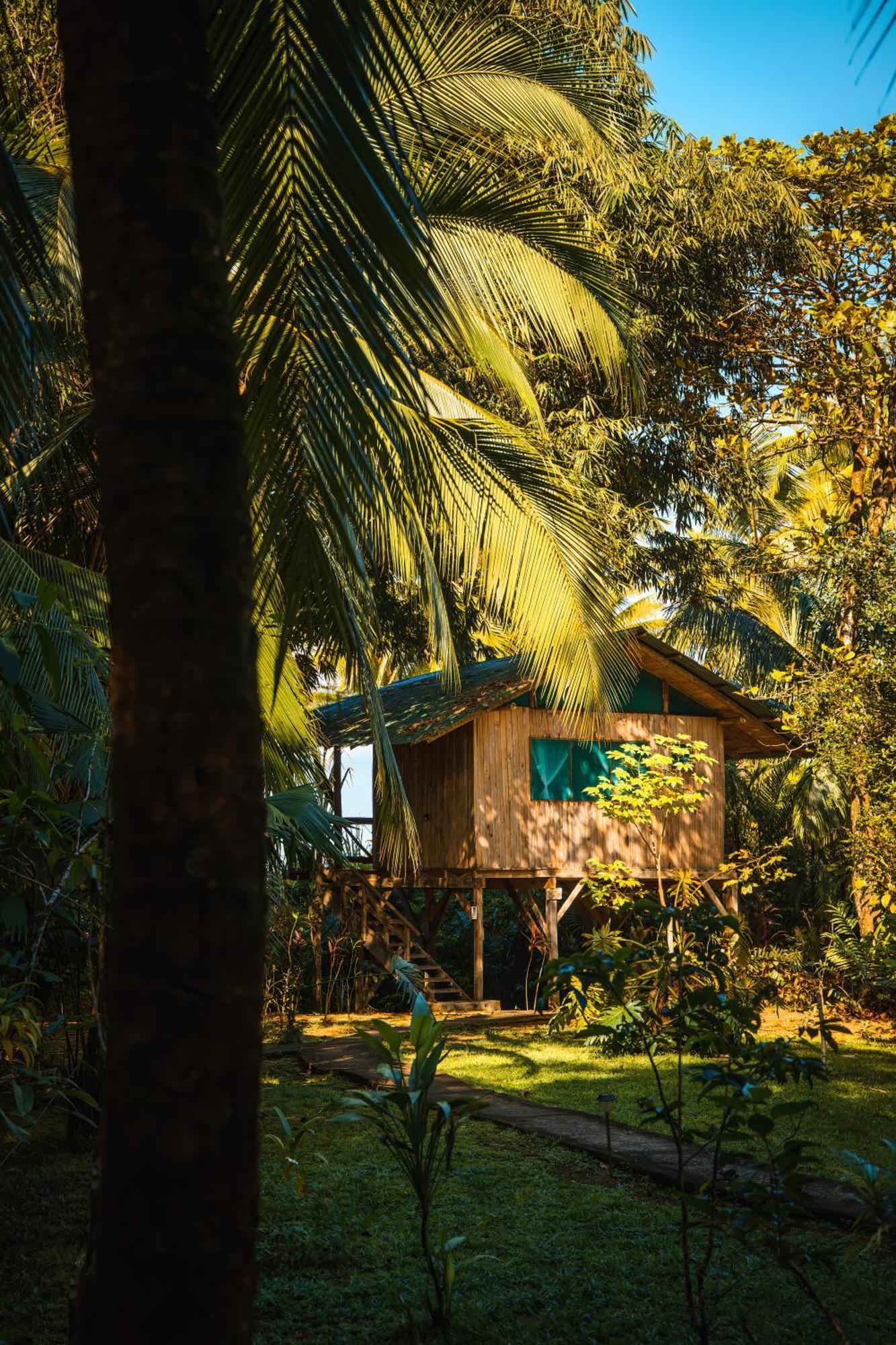 Ocean Forest Ecolodge San Pedrillo Esterno foto