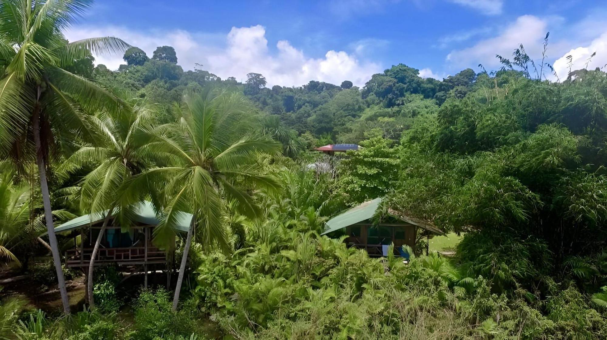 Ocean Forest Ecolodge San Pedrillo Esterno foto