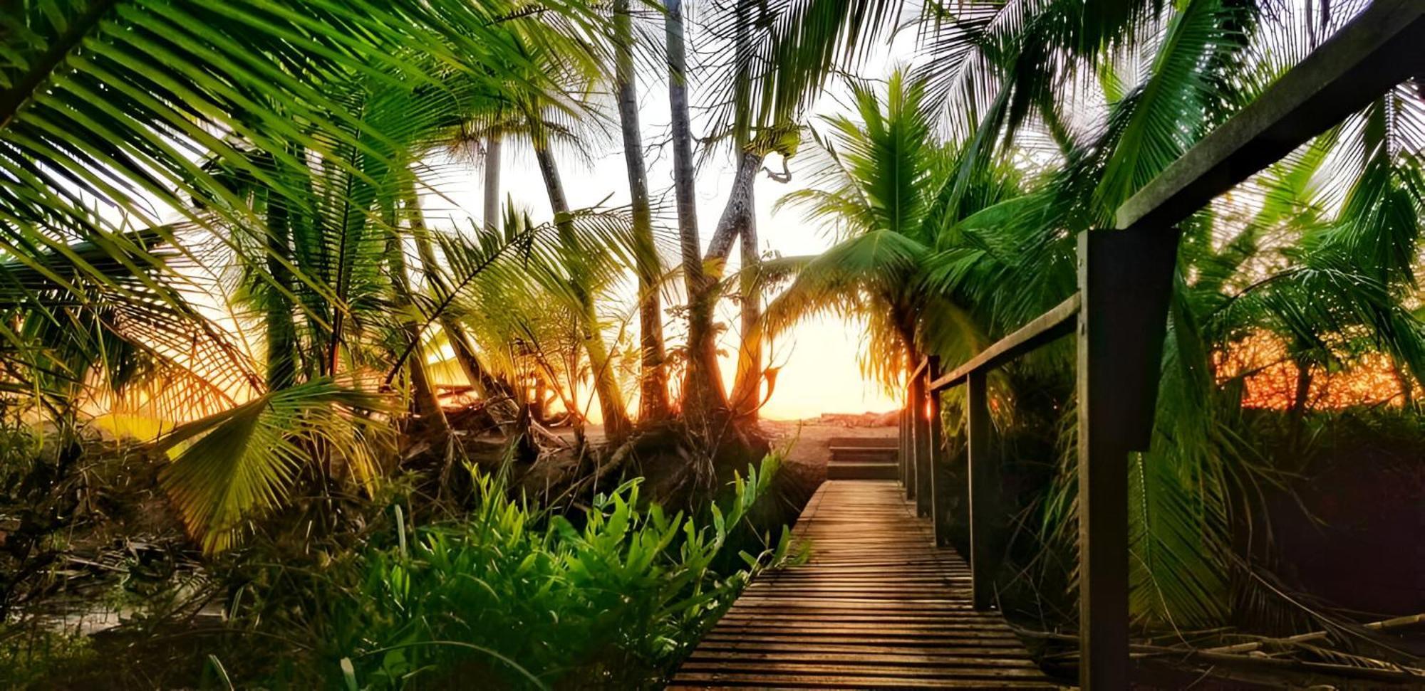 Ocean Forest Ecolodge San Pedrillo Esterno foto