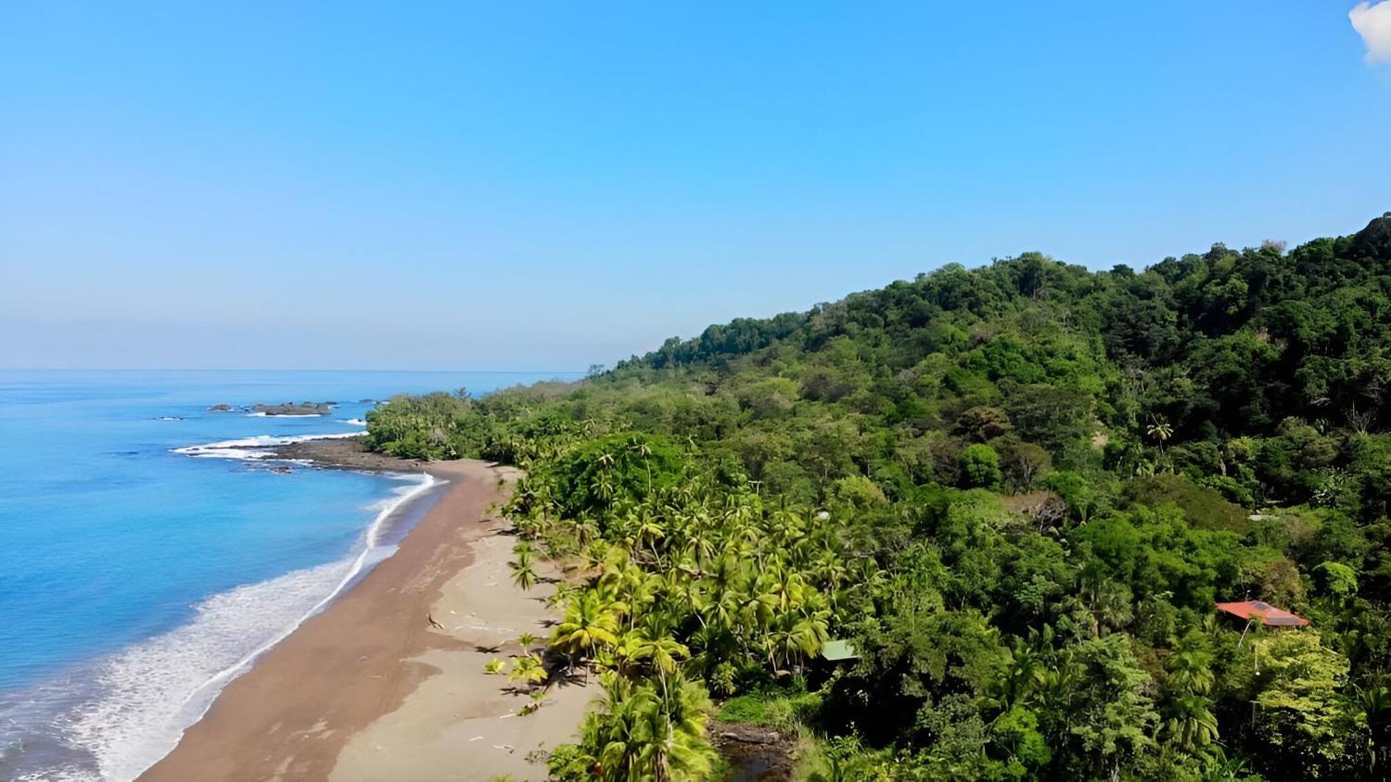 Ocean Forest Ecolodge San Pedrillo Esterno foto