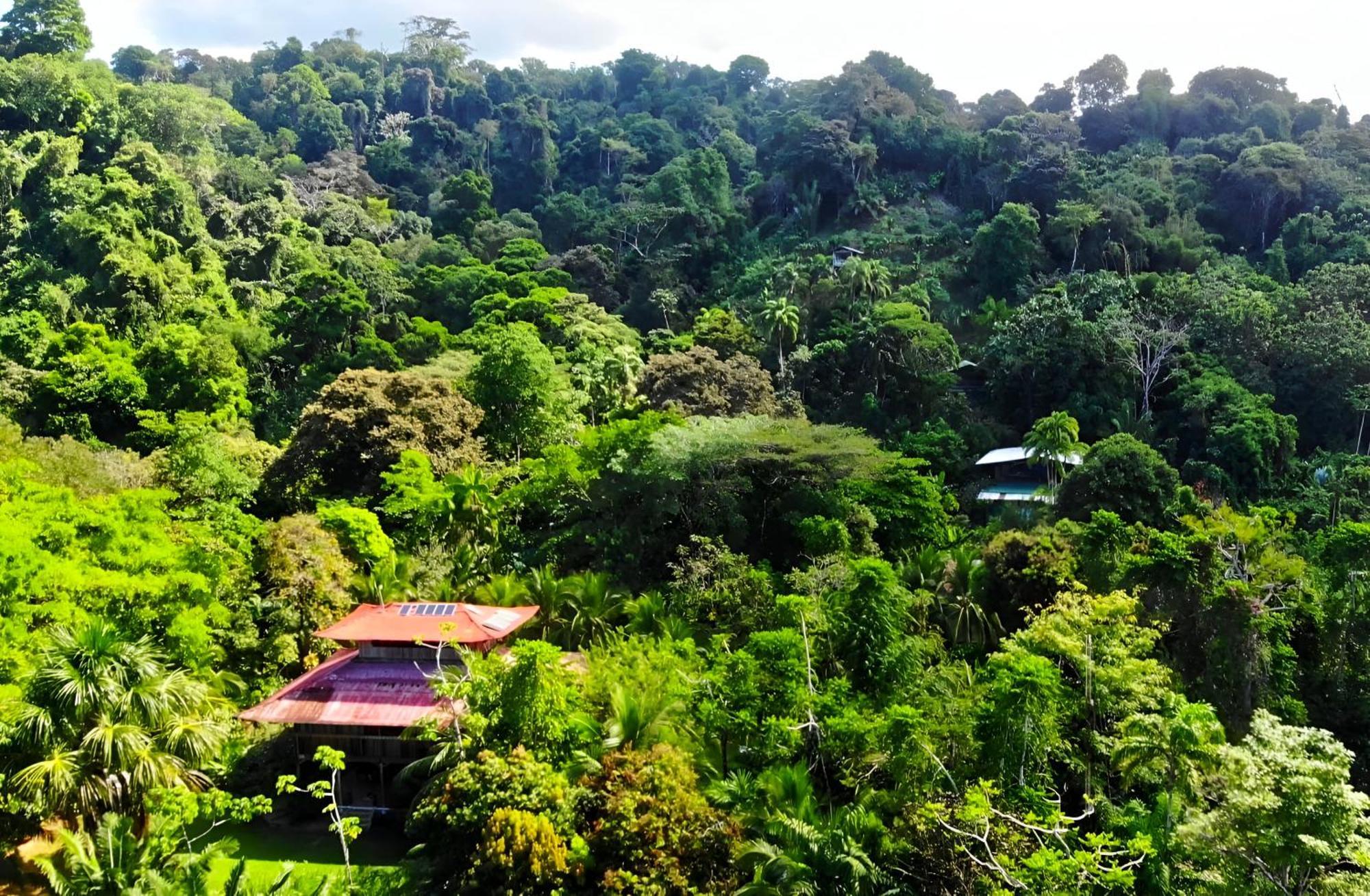 Ocean Forest Ecolodge San Pedrillo Esterno foto